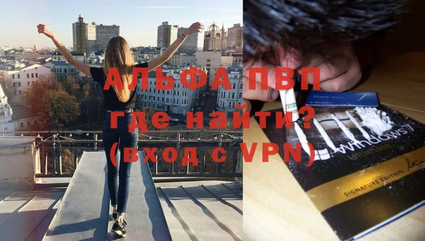 стаф Баксан