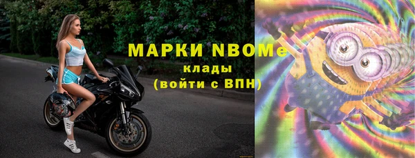 сатива Михайловка