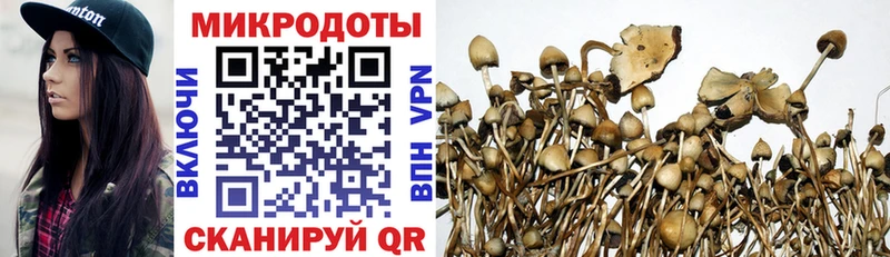 где продают наркотики  Партизанск  Псилоцибиновые грибы Psilocybine cubensis 